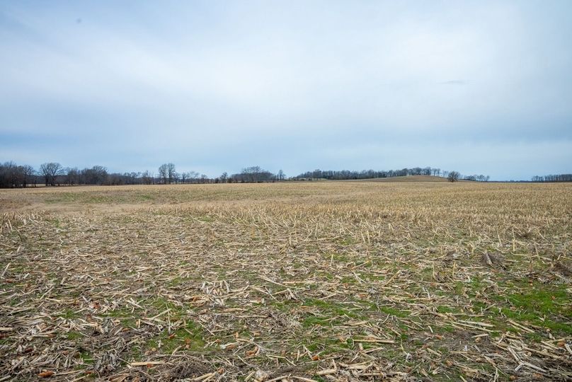 Copy of DSC00738 Large