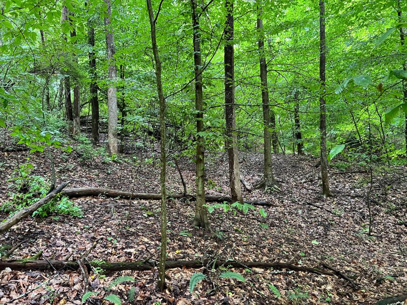 Wirt, WV 150.75 AC Tinnell-23