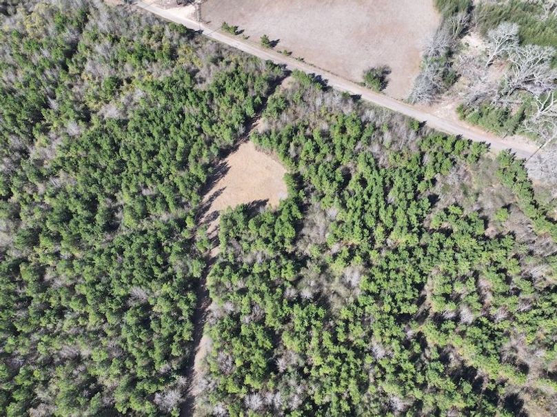 dji_fly_20260302_130552_0343_1772559699670_photo