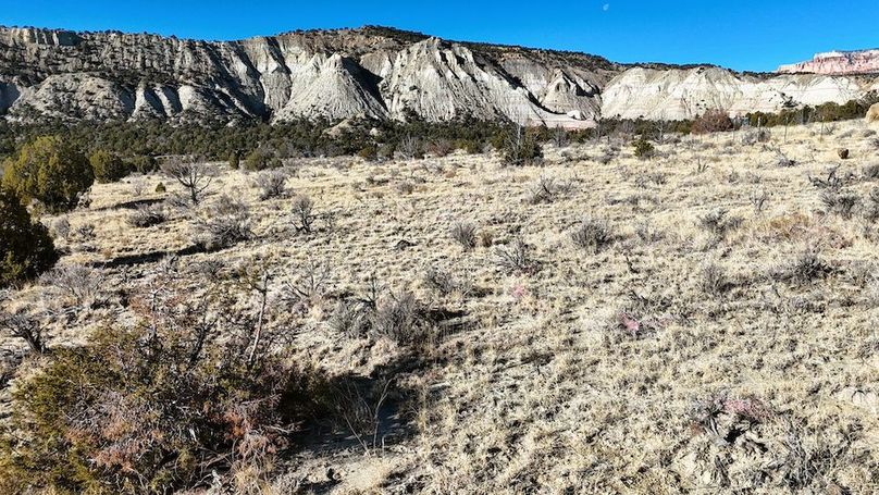 DJI_20241219101725_0055_D