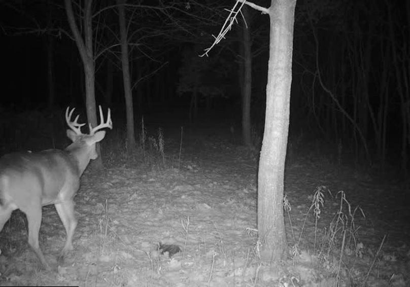 865509050473549-90-4-10312023023630-V-W1009979