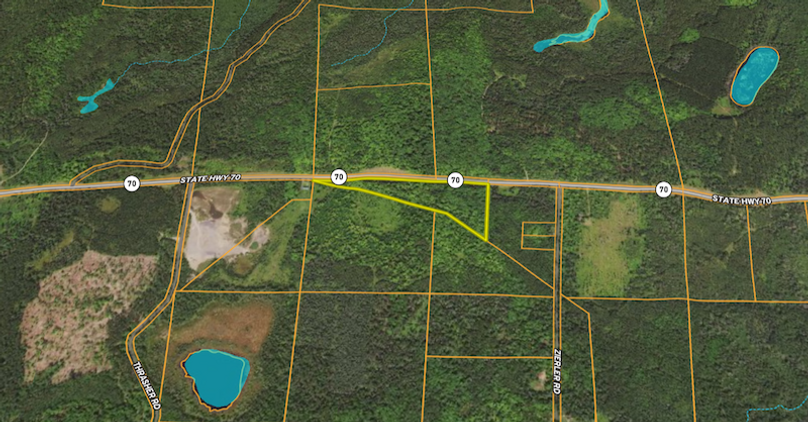 Forest7.09Slad midaerial