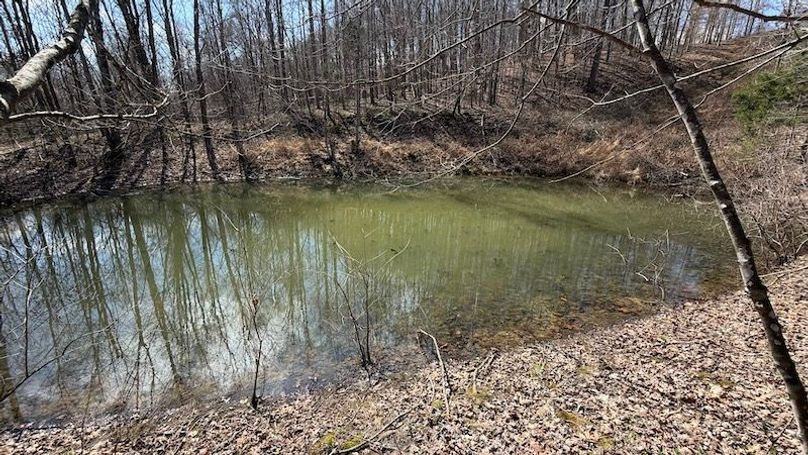 Butler 118 Capella19