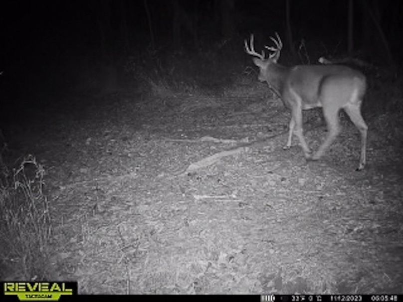 865509050473705-90-4-11122023060608-W1003848