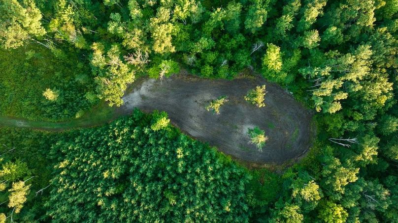 Cass MN 1095 Featured ProPhoto-62