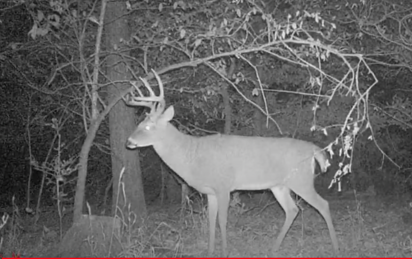 Screen Shot 2024-01-22 at 6.10.59 AM