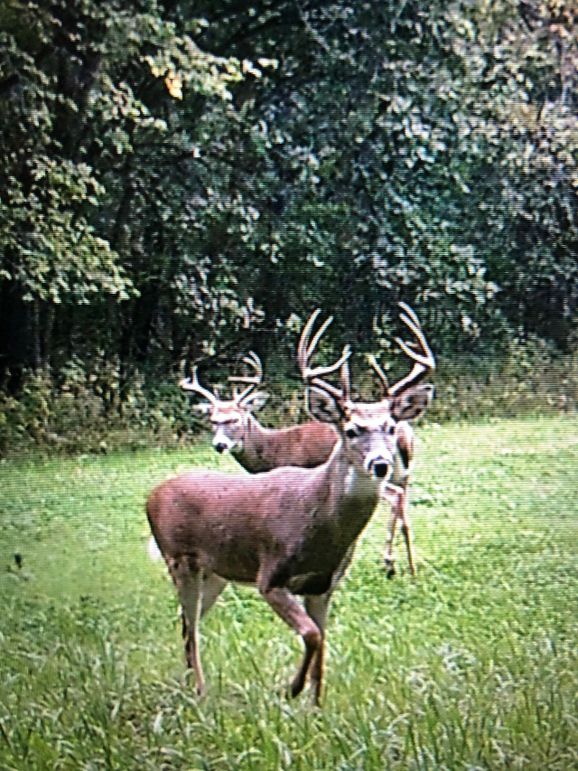 59746564470__20D3172A-B85D-4187-83F2-D60F60BE2616