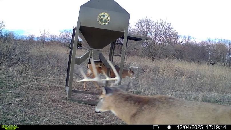 016578004041353-3-4-12042025171914-V-SYFW17314