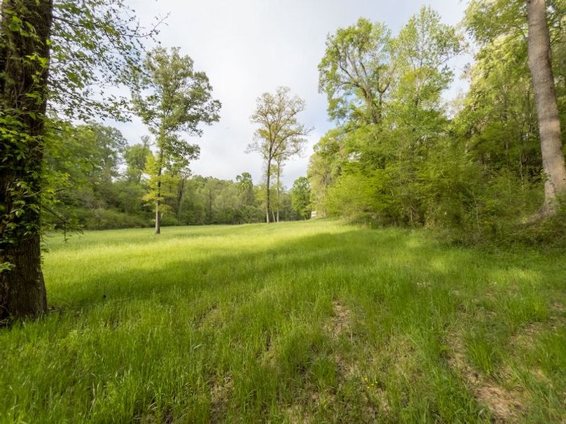 Claiborne Co-314-Fernandez-91