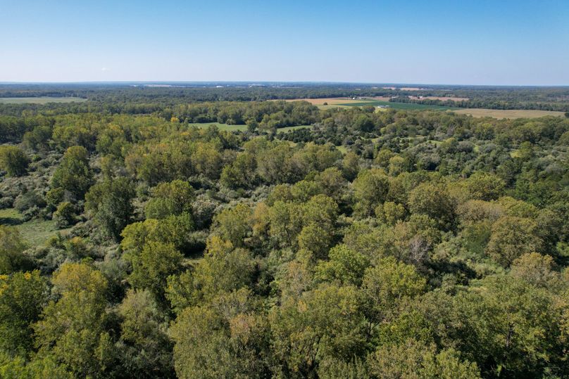 DJI_0142