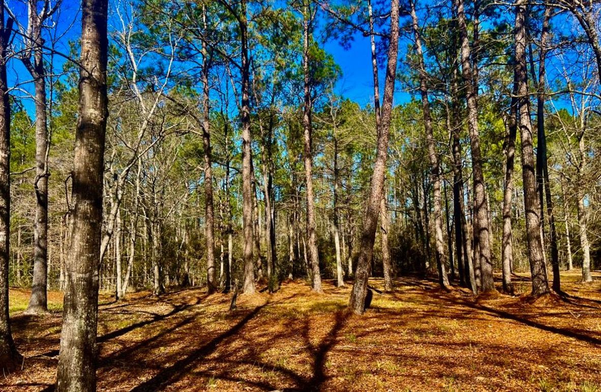 1BF7C68A-85B1-4979-9A8B-CF2E3D3C73CB_1_201_a