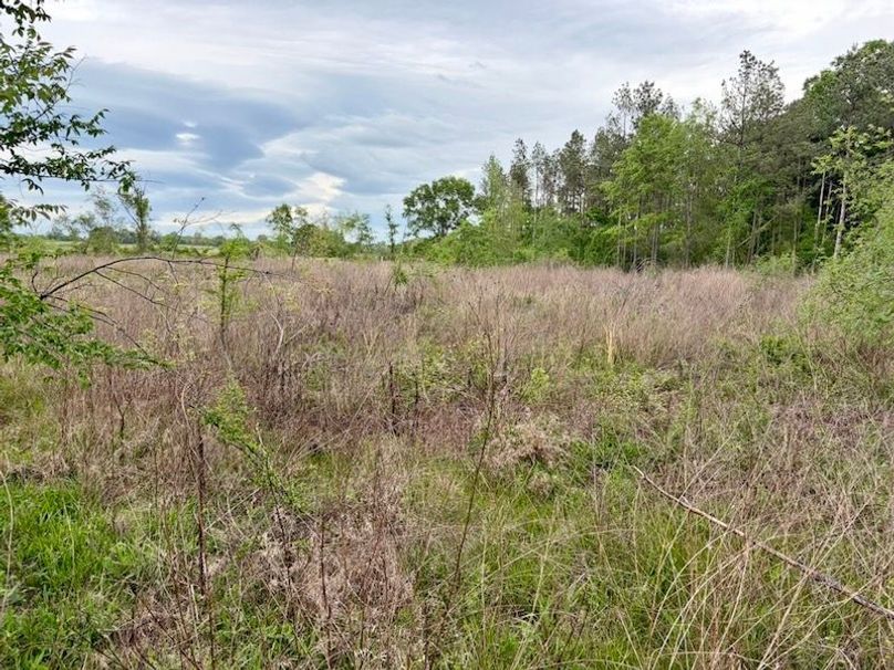 57BDC11C-A755-4BCD-A5E7-B0910EECB2A8_1_105_c