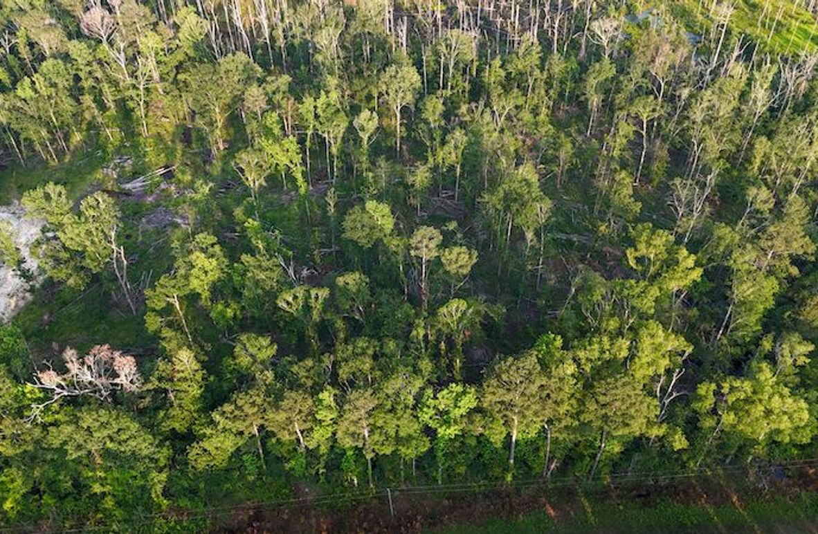 Copiah Co - 192 - Nutt-05