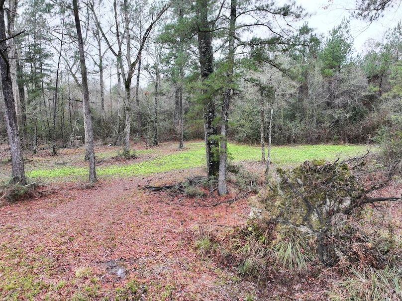 dji_fly_20260122_101000_0855_1769444812249_photo