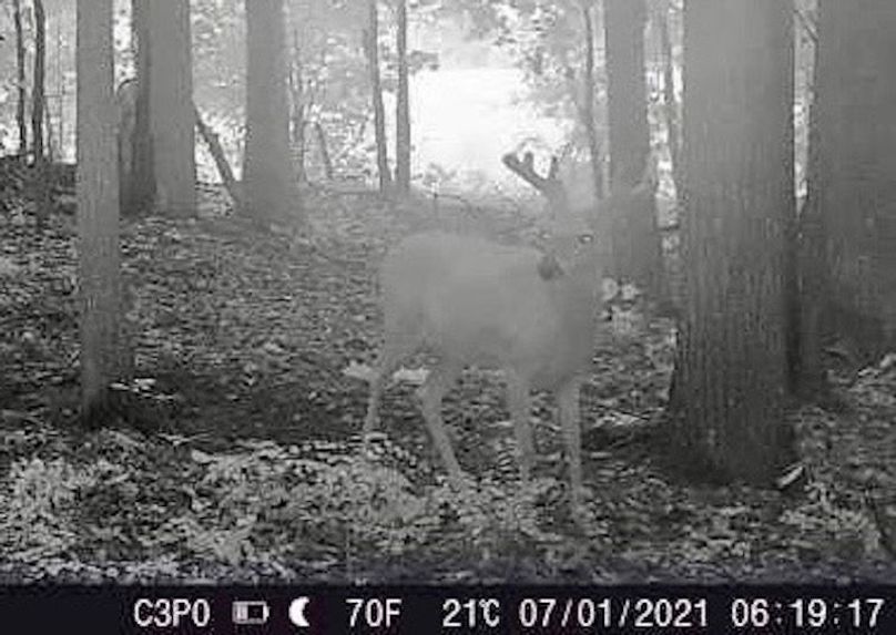 865519049971792-20-3-07012021061918-W1008373