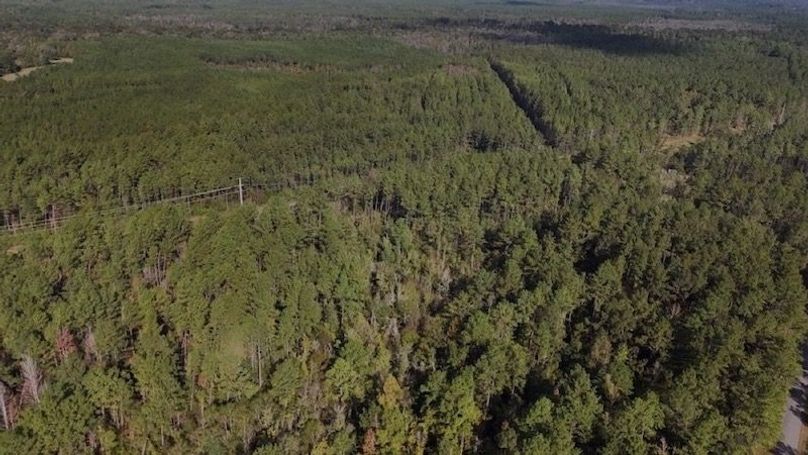 DJI_20231026101103_0004_D