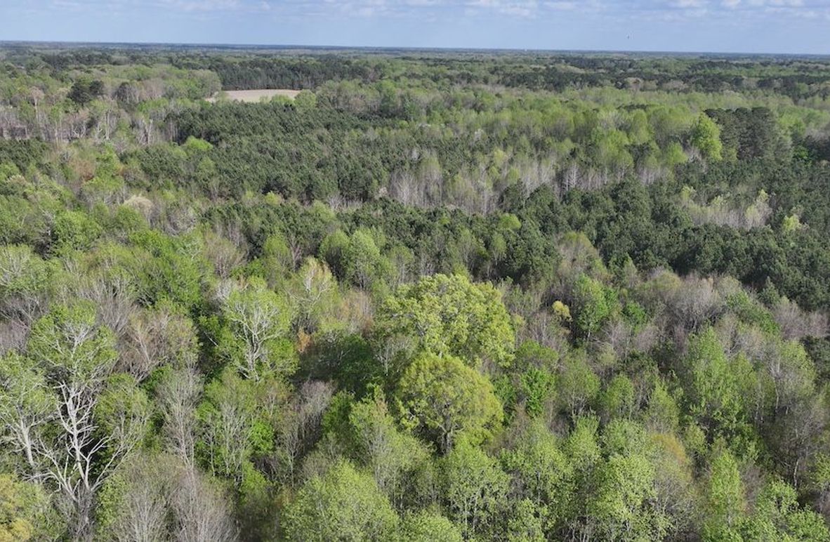 dji_fly_20260330_090638_0562_1774989422281_photo