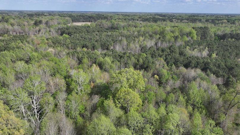 dji_fly_20260330_090638_0562_1774989422281_photo