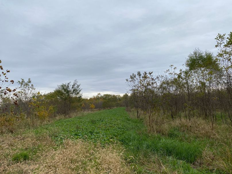 pics from late 2021 and early 2022. New plots being planted in Aug 2023 for new pics (13)