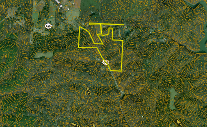 Screenshot 2023-08-11 at 12.25.04 PM