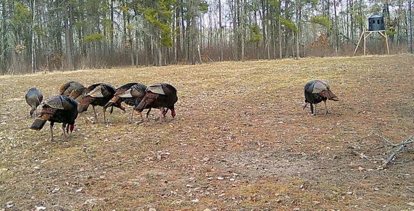 24030611575001001783 (1)