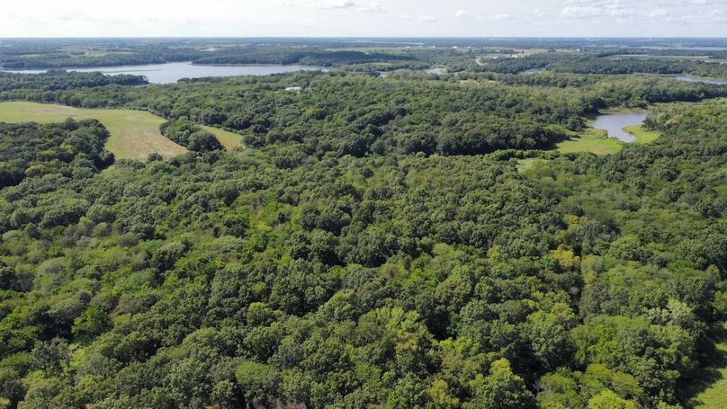 dji_fly_20240801_160936_969_1722546586341_photo_optimized