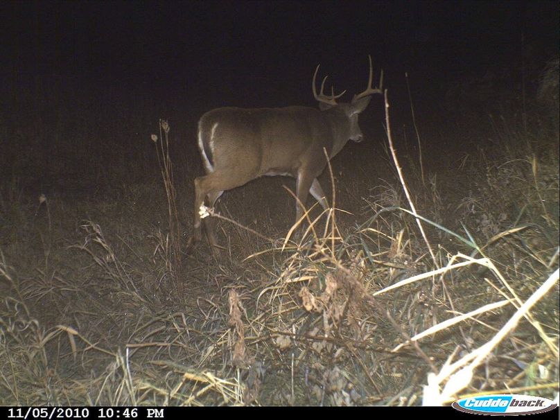 Deer Cam Tracker Pic. 069