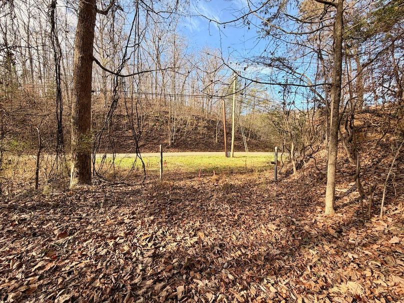 Roane Co TN 396 20251127_81