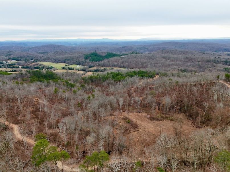 Roane Co TN 396 20251127_52