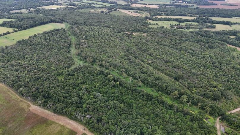 DJI_20250802035408_0557_D