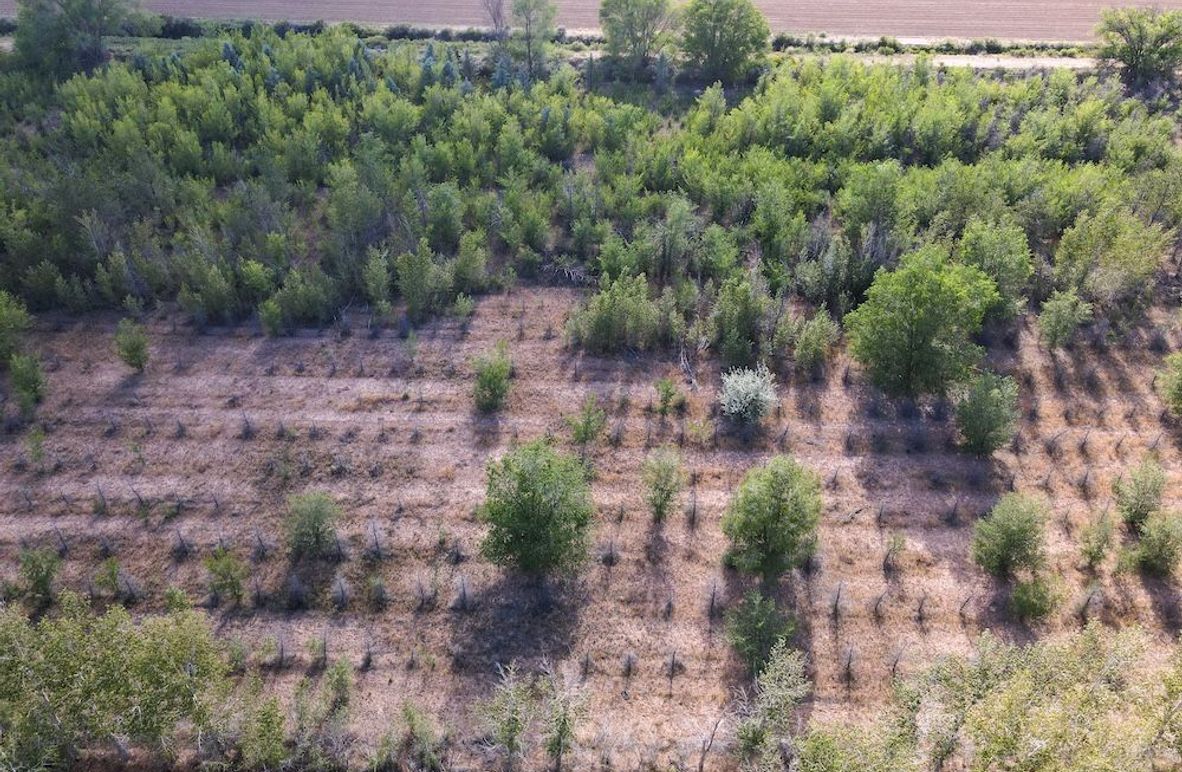 DJI_0667