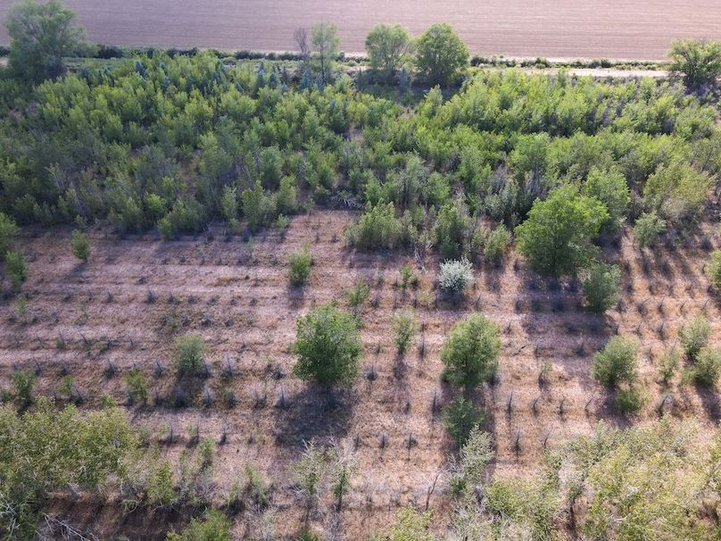 DJI_0667