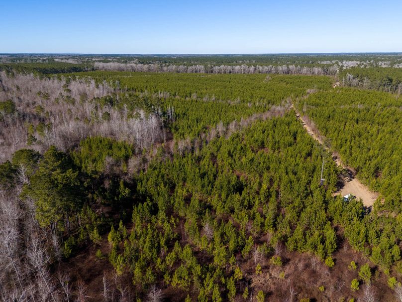 Pender NC 382 - Edits-35