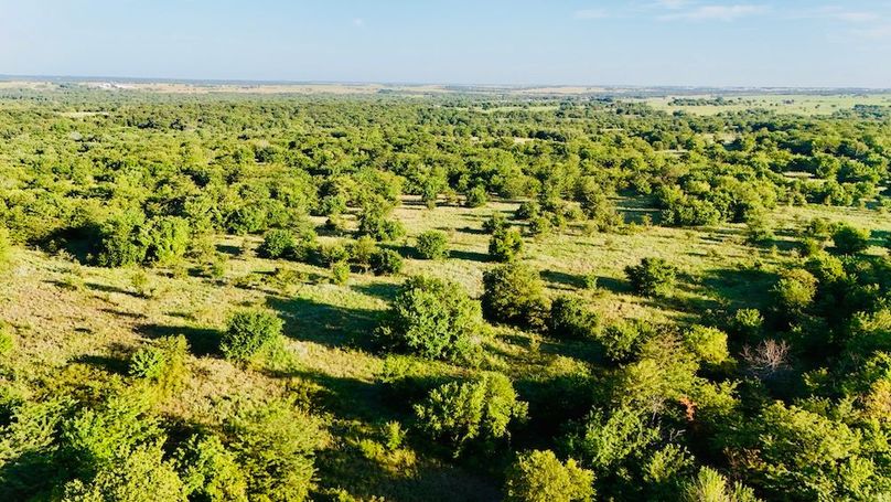 dji_fly_20250728_075814_0042_1753739707387_photo