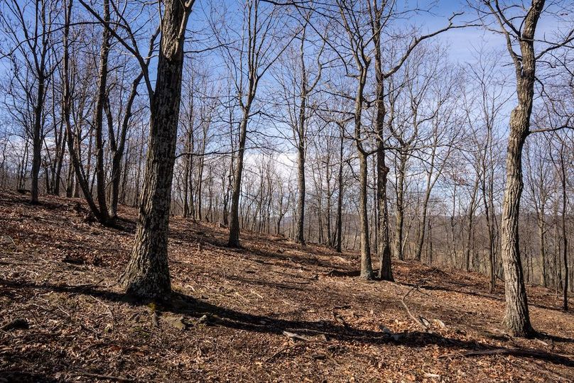 Copy of Hampshire WV 200 Featured_Pro Photo-15