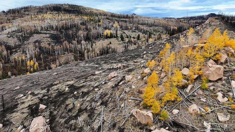 DJI_20250927083818_0059_D