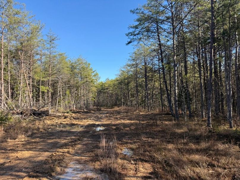 006 the road access into the property on the final approach