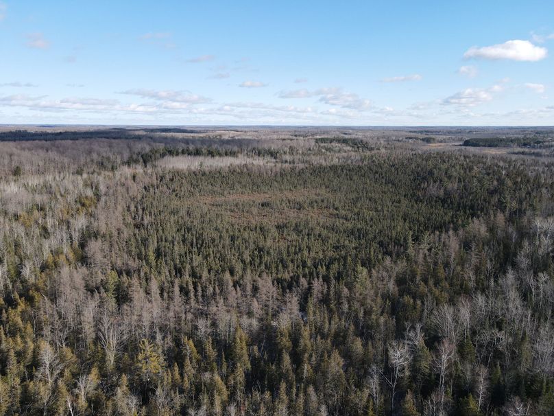 DJI_0861