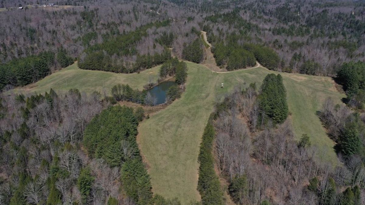 Amazing Red River Property Whitetail Properties