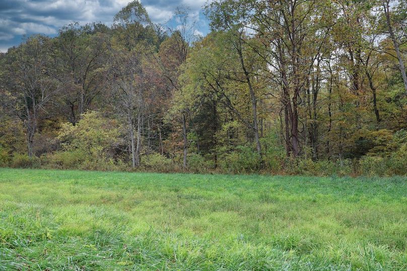 026 looking across the creek up the main valley from the fields