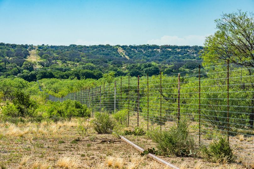 69-web-or-mls-DSC08961