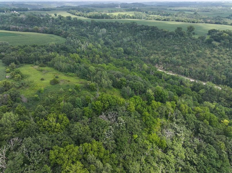 Goodhue 78.81 New -10