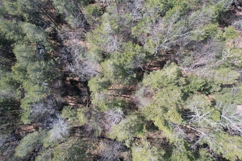 dji_fly_20260330_124852_561_1775656599006_photo