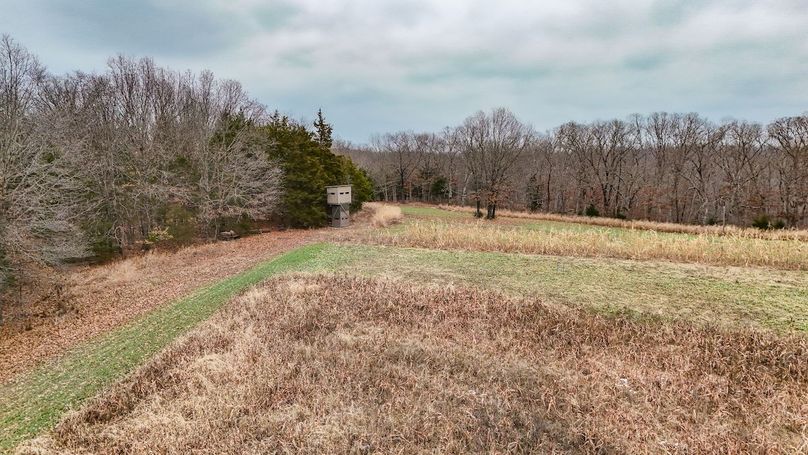 Copy of dji_fly_20251208_004224_0019_1765138830040_photo