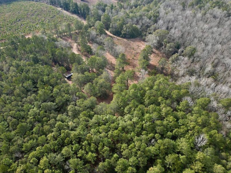 dji_fly_20260203_142640_667_1770146698307_photo