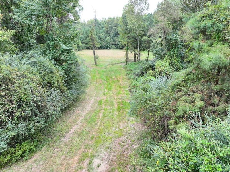 dji_fly_20250924_090640_0501_1758726298324_photo