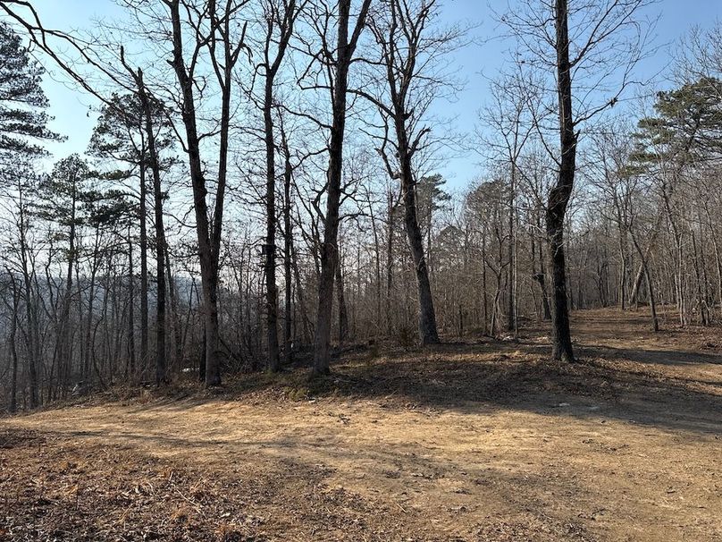 DJI_20260113_141533_150