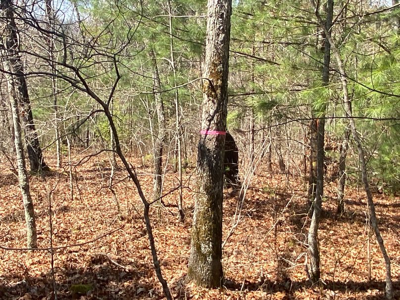 Cherokee 69.74 Stiles-36