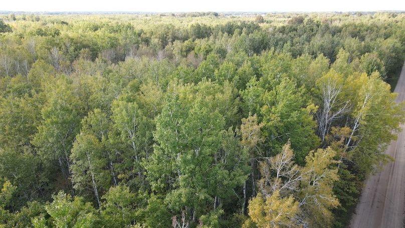 Copy of DJI_0623