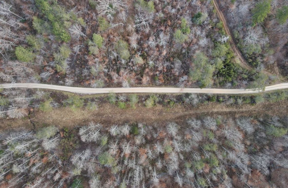 005 birds eye view looking over the county road-2